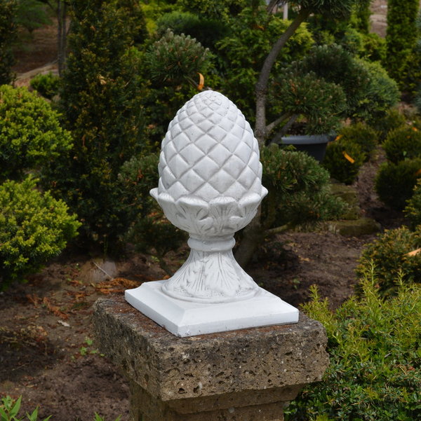 Pine cones: high quality decorative element