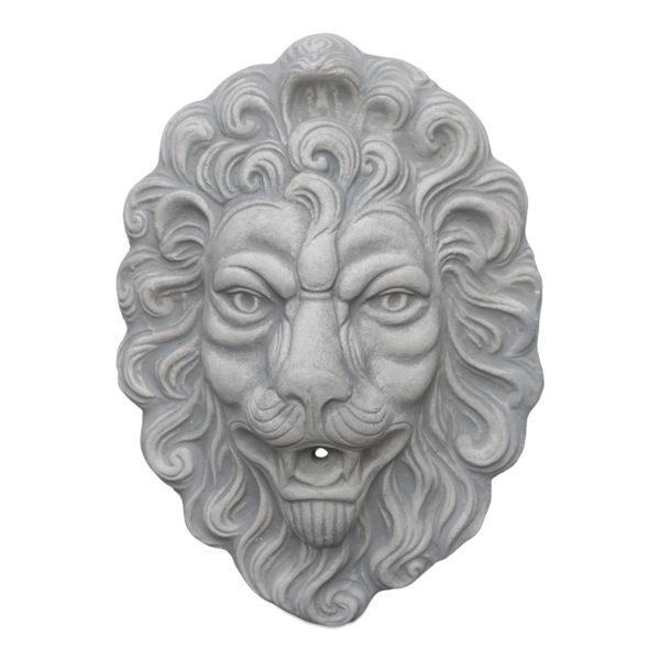 Lions head