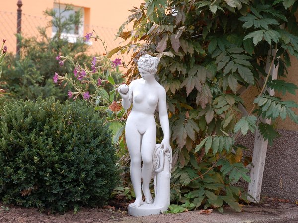 Venus figure
