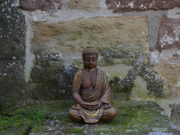 Buddha exclusiv