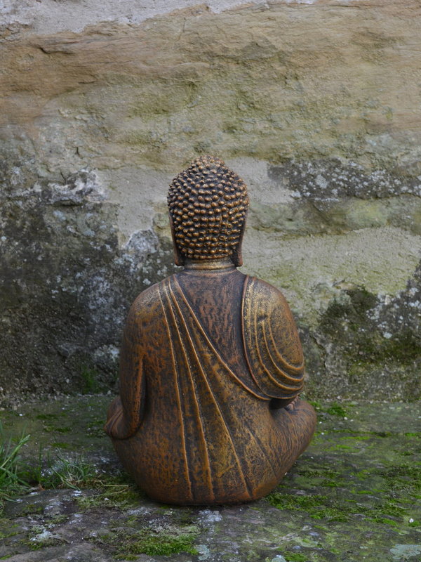 Buddha exclusiv