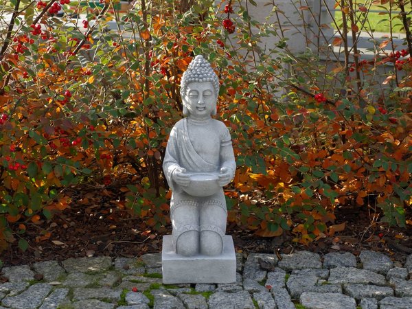 Bezaubernde Buddha-Statue auf einem Podest