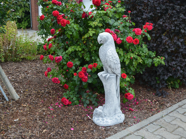 Riesige Papageien-Skulptur