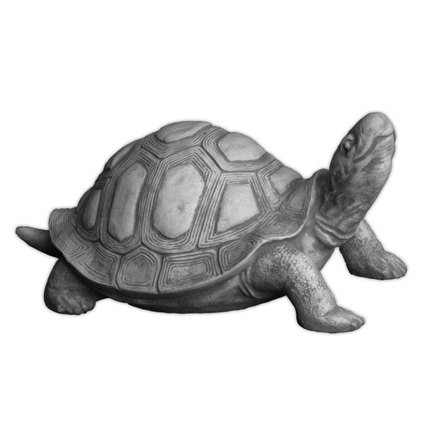 Schildkröte groß