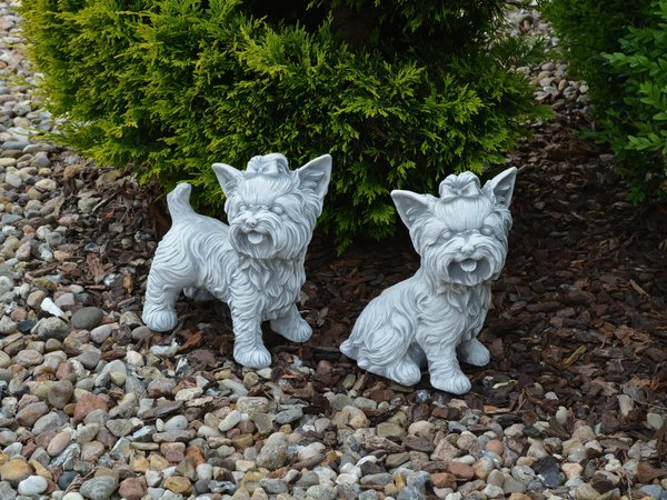 Set: two Yorkshire Terriers
