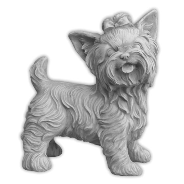 Set: two Yorkshire Terriers