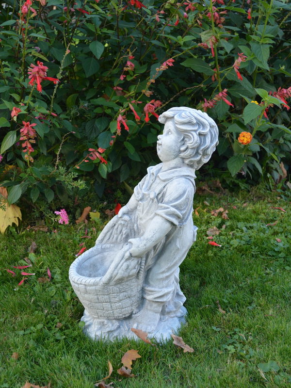 Boy with a plant basket