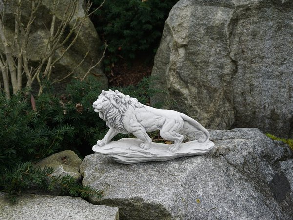 Stehender Löwe auf einem Felsen