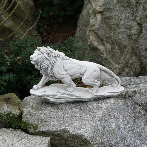 Stehender Löwe auf einem Felsen