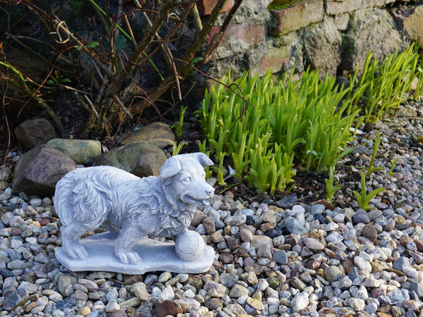 Statue eines Mischlings-Hundes