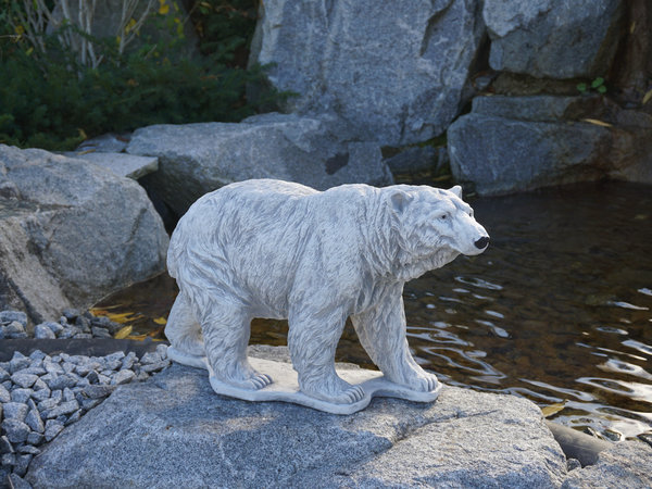 Polar bear Lili