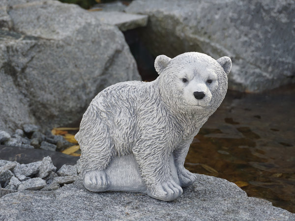 Polar bear cubs Knut