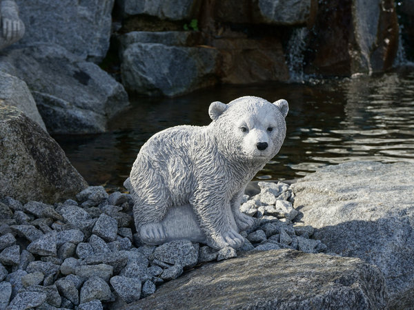 Eisbär Knut: Star für ewige Zeiten