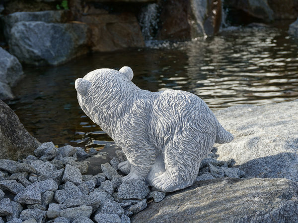 Polar bear cubs Knut
