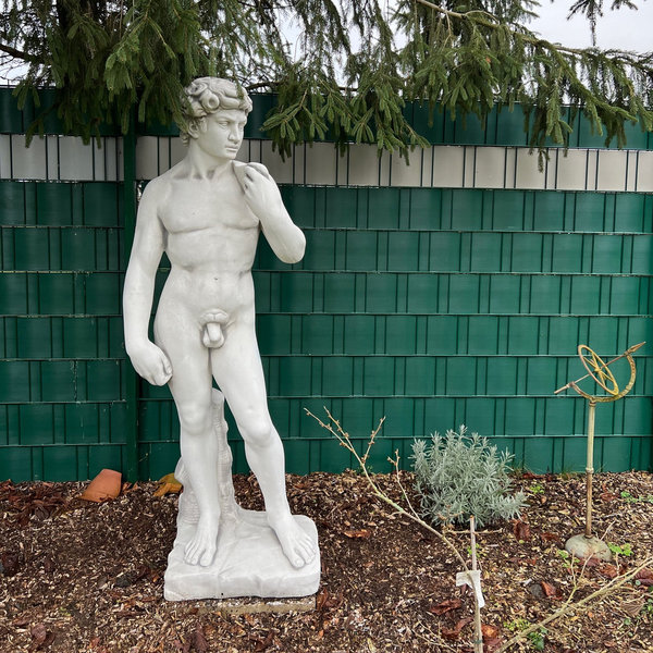 Bildschöne David-Statue