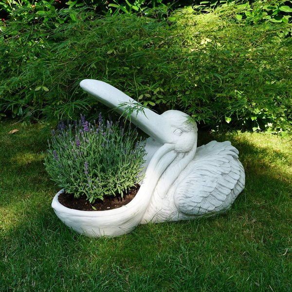 Pelican as a plant bowl